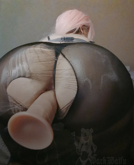 ボールズオンリーファンズ ベスト 写真