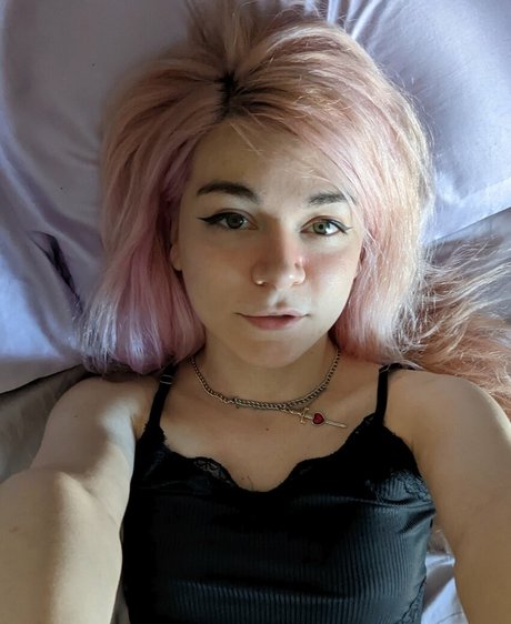 oncloud e アートモデル 写真