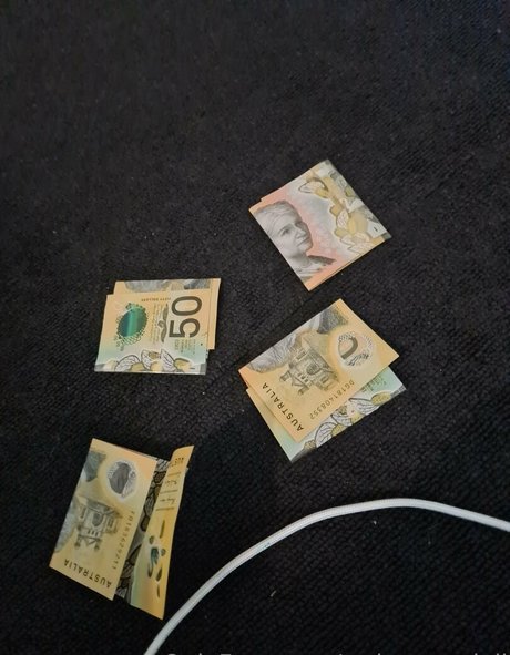 dramatic dumpster free 無料のポルノスター 画像