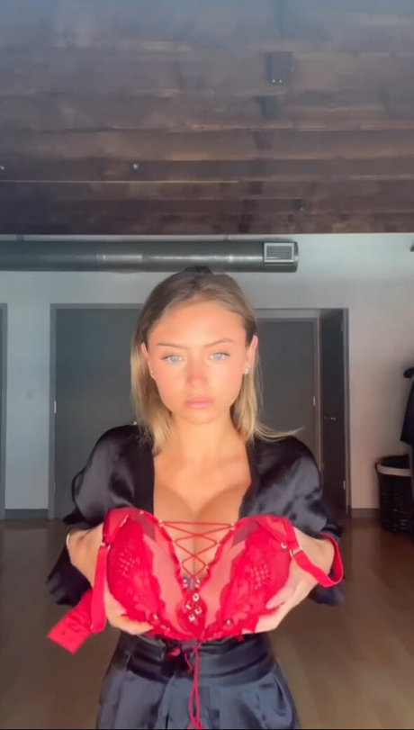 黒檀の猫オンリーファンズ 素敵 アーカイブ