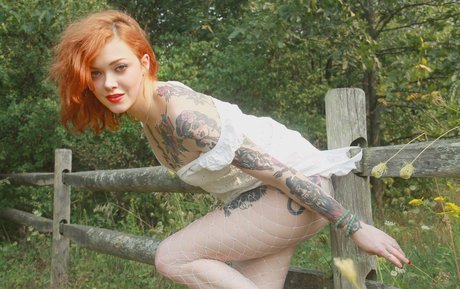 金髪クーガーオンリーファンズ ポルノグラフィック 写真