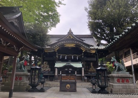 Pchan666 裸のポルノスター 写真