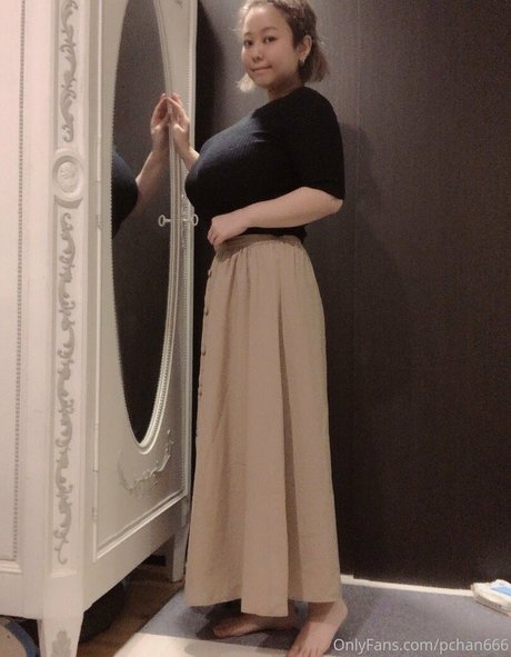 Pchan666 HDモデル 画像