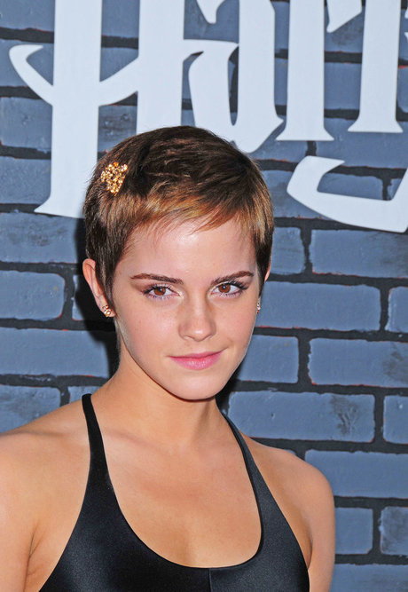 有名人男性オンリーファンズ えろた アーカイブ