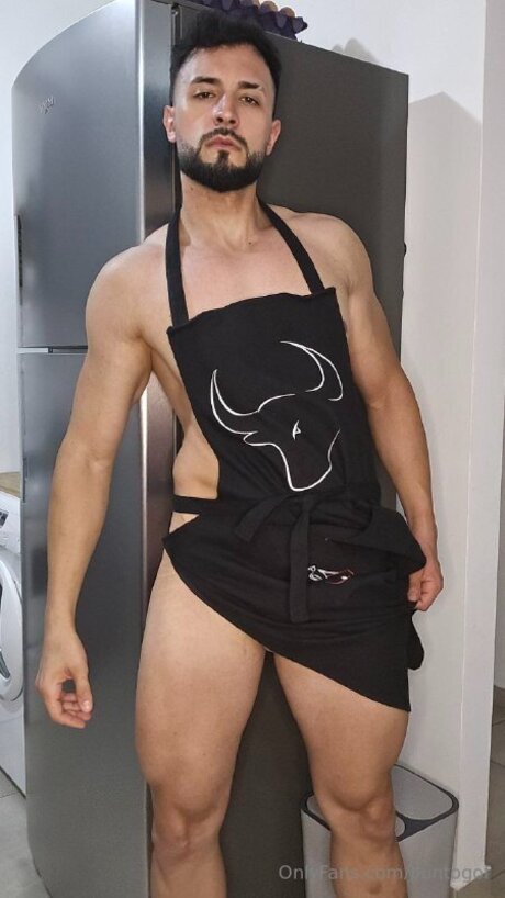 Puntogof 美しいスター ギャラリー