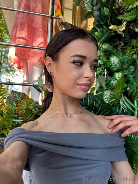 Mollylo HDモデル 画像