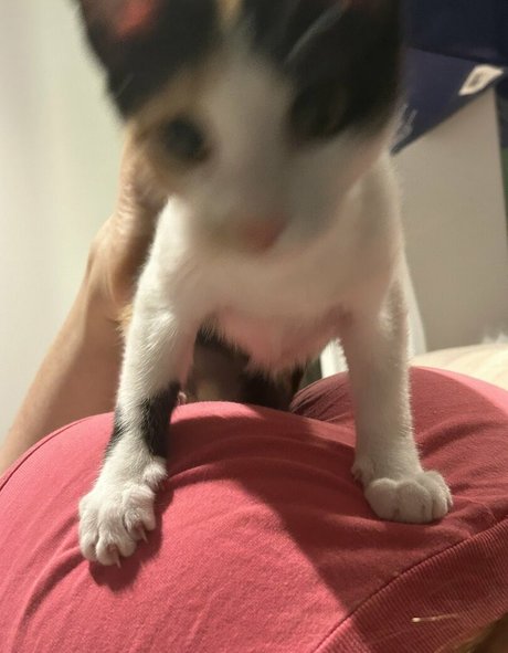 ママの足OnlyFans トップ 画像