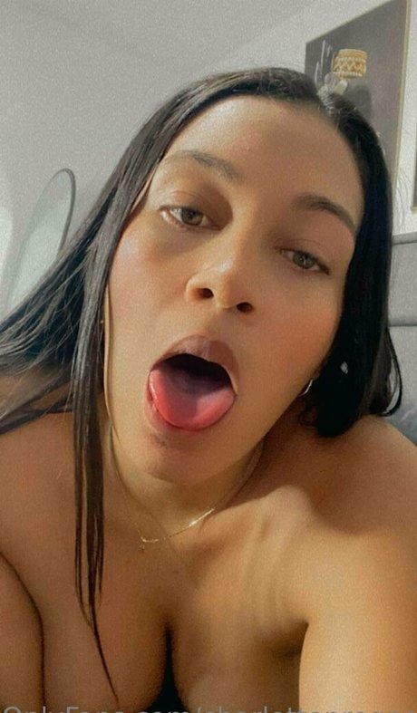 charlottepre ポルノモデル 画像