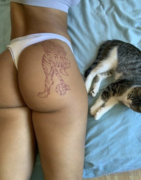 ロールプレイオンリーファン ポルノ アーカイブ