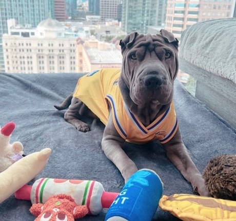 寝取られアマチュアOnlyFans セクシー裸 写真