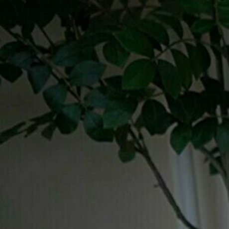 kaylee free ホットなポルノスター アーカイブ