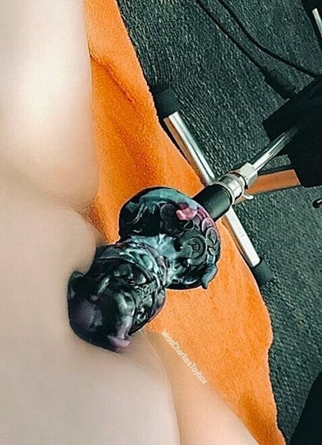 misscharliestoybox ポルノスター xxx ギャラリー