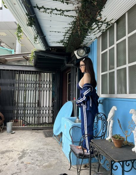 シックオンリーファン 素敵 写真