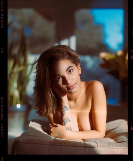 Ari Nicholle Gold HDモデル ギャラリー