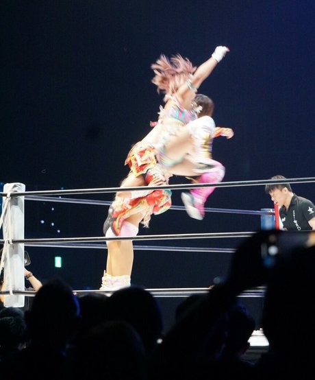 Mina Shirakawa 裸の女優 画像