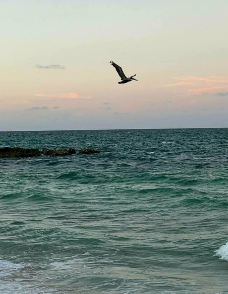 ティーン乱交OnlyFans 無料ポルノ 画像