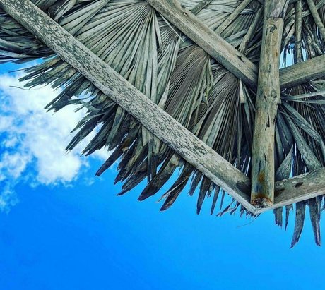 princesspastah エロティックなポルノスター ギャラリー