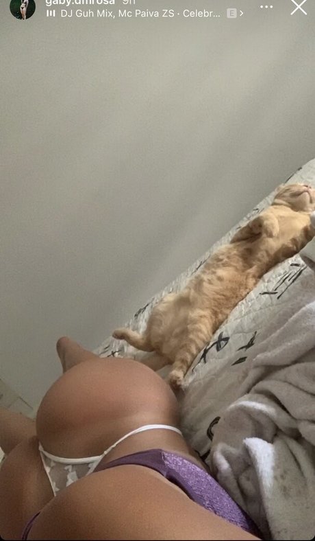 gaby dmrosa 無料スター 写真