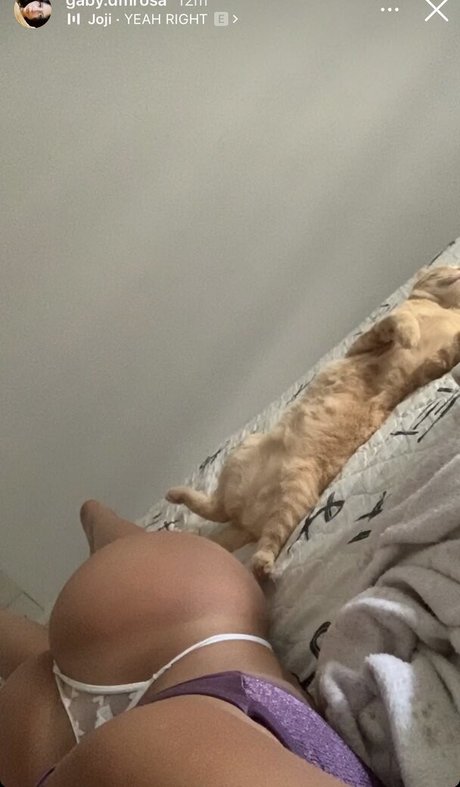 gaby dmrosa アートスター アーカイブ