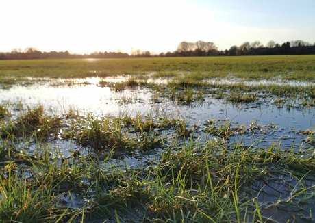 汚れた足オンリーファンズ エロ アーカイブ