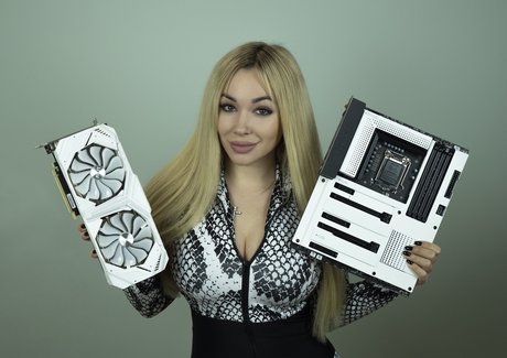 ブラジルの猫オンリーファンズ 無料 写真