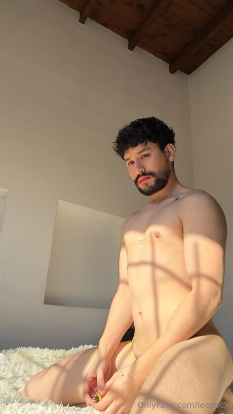 Leeosex 完璧なモデル 写真