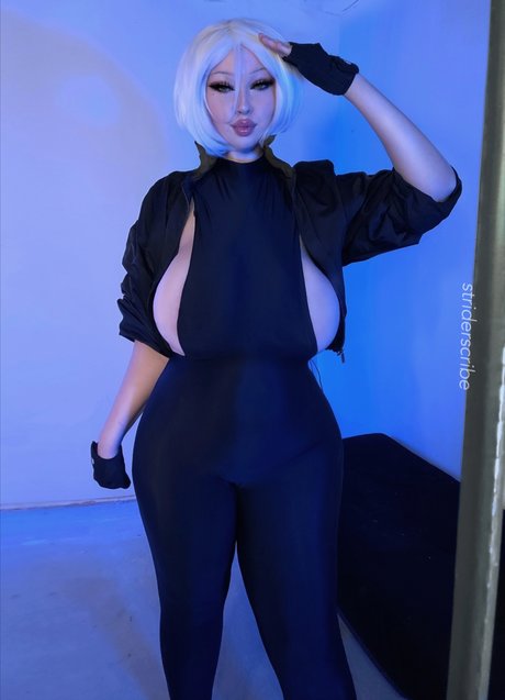 Strider scribe HDモデル 画像