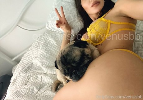 巨大なチンポを持つシーメールオンリーファンズ 無料ヌード 写真