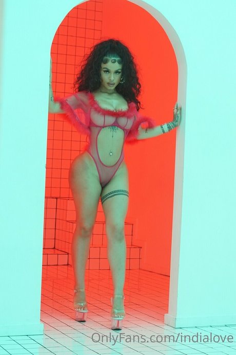 India love 独占女優 アーカイブ