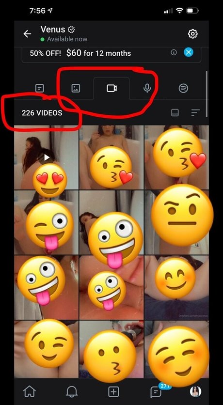 venuschula 完璧なモデル 画像