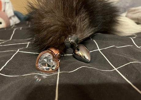 secretnoel 完璧なポルノスター 写真