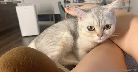 汚れた足オンリーファンズ エロチック 写真