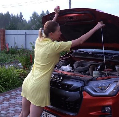 不明なファン アダルト 写真