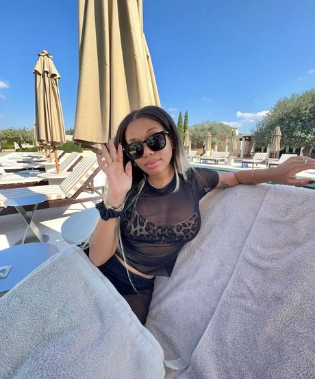 ブラジルの猫オンリーファンズ 素敵 写真