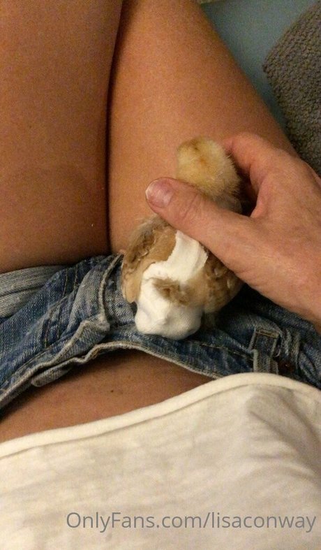 gomurphy 完璧なスター ギャラリー