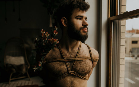 ポニーテールオンリーファンズ HD 写真