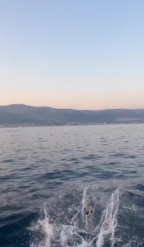 痩せたアジア人ティーン OnlyFans ホット 写真