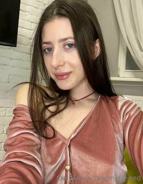 miareeed スター ギャラリー