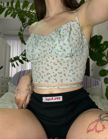 miareeed 最高のスター 写真