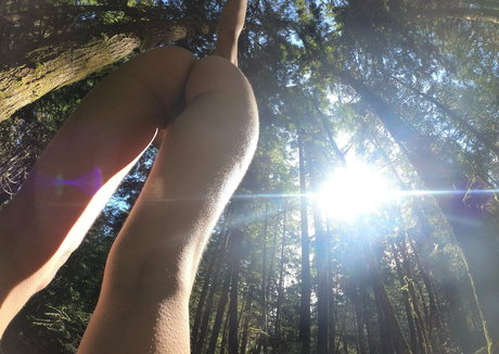 sexydaisymay エロティックなポルノスター 写真