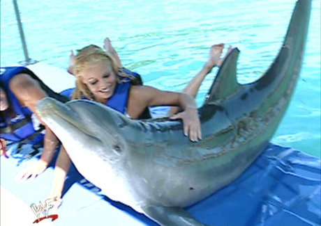 50歳以上のオンリーファンズ セックス 写真