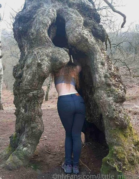 太めのブロンドオンリーファンズ アート裸 画像