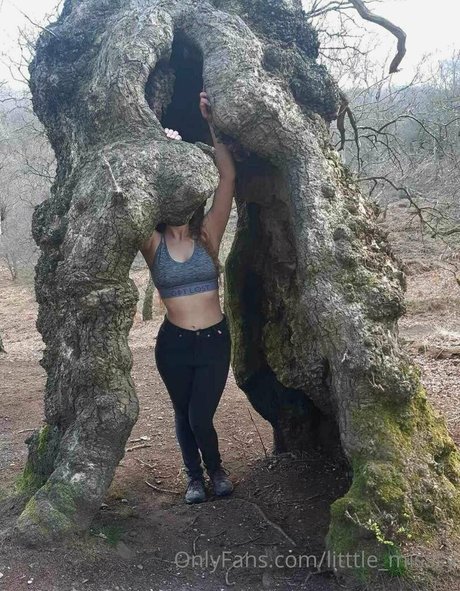 litttle misssy ホットなポルノスター ギャラリー