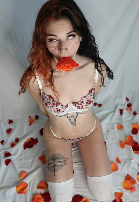 BBW エボニー オンリーファンズ xxx 写真