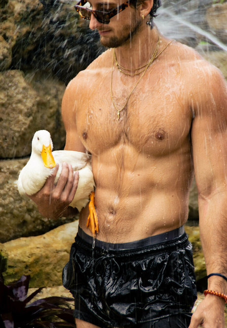 tooturntuncensored 裸のスター ギャラリー