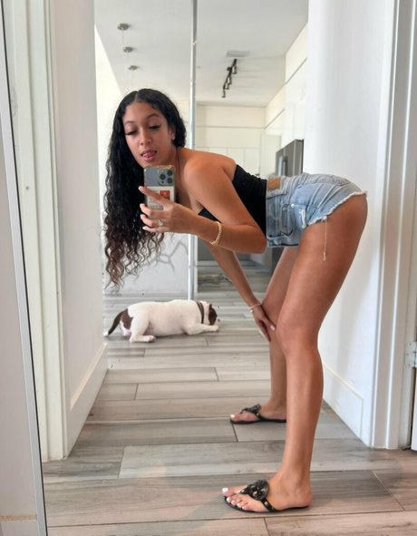 ラバーオンリーファン HD 写真