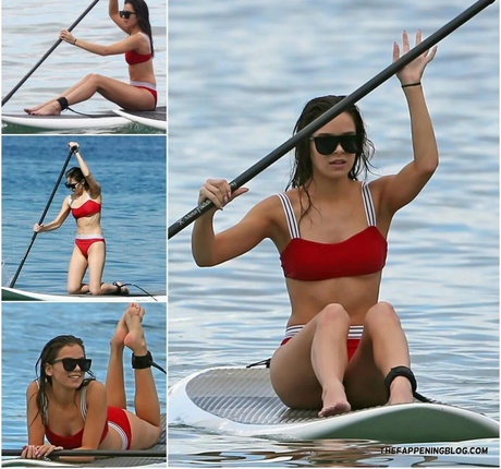 Hailee Steinfeld xxxスター ギャラリー