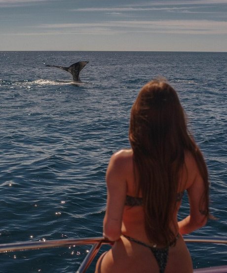 ベラルーシのファンのみ ポルノ ギャラリー