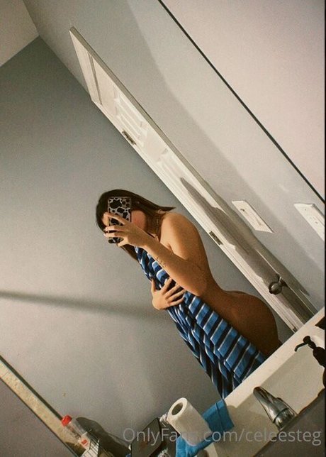 Celeesteg ホットモデル 写真