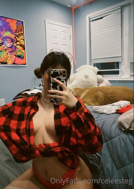 Celeesteg ポルノスター セックス 写真